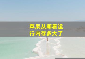 苹果从哪看运行内存多大了