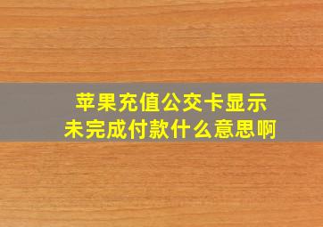 苹果充值公交卡显示未完成付款什么意思啊