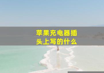 苹果充电器插头上写的什么