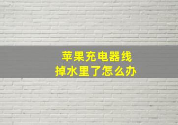 苹果充电器线掉水里了怎么办