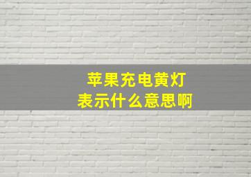 苹果充电黄灯表示什么意思啊