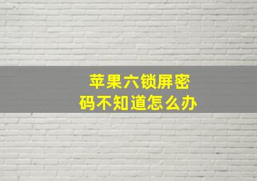 苹果六锁屏密码不知道怎么办