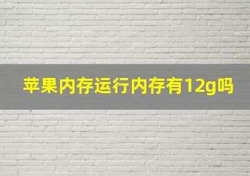 苹果内存运行内存有12g吗