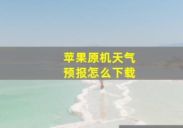 苹果原机天气预报怎么下载