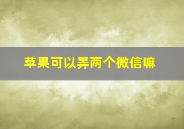 苹果可以弄两个微信嘛