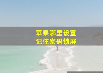 苹果哪里设置记住密码锁屏