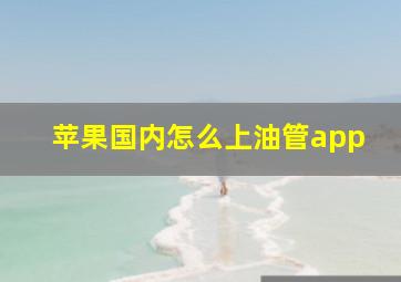 苹果国内怎么上油管app