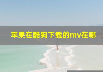 苹果在酷狗下载的mv在哪