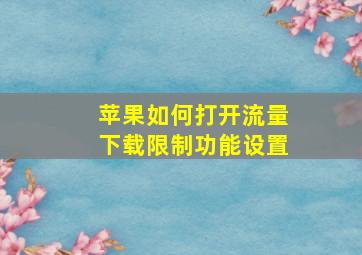 苹果如何打开流量下载限制功能设置