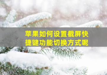 苹果如何设置截屏快捷键功能切换方式呢