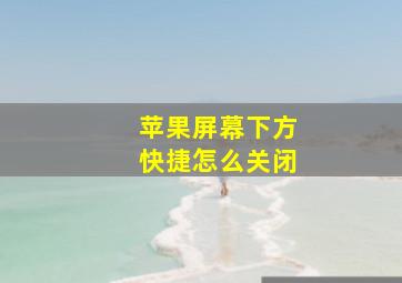 苹果屏幕下方快捷怎么关闭