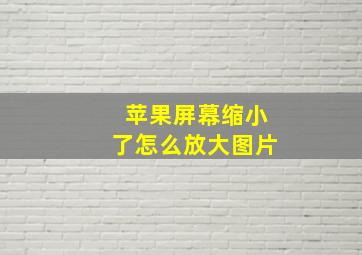 苹果屏幕缩小了怎么放大图片