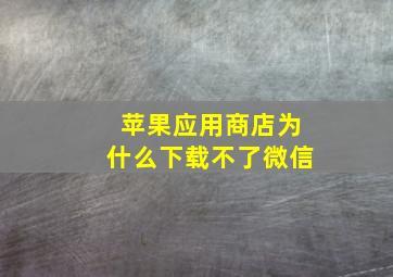 苹果应用商店为什么下载不了微信