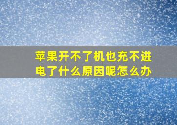 苹果开不了机也充不进电了什么原因呢怎么办