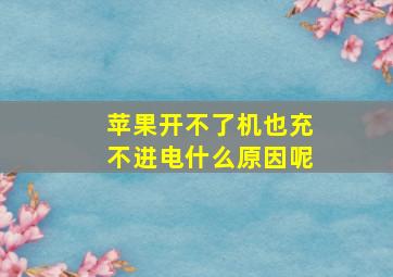 苹果开不了机也充不进电什么原因呢