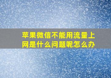 苹果微信不能用流量上网是什么问题呢怎么办