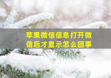 苹果微信信息打开微信后才显示怎么回事