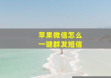 苹果微信怎么一键群发短信