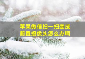 苹果微信扫一扫变成前置摄像头怎么办啊