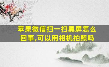 苹果微信扫一扫黑屏怎么回事,可以用相机拍照吗