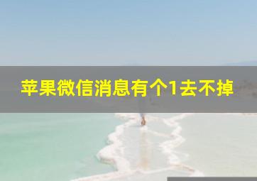 苹果微信消息有个1去不掉