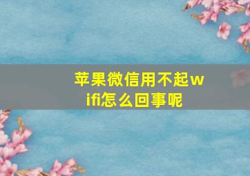 苹果微信用不起wifi怎么回事呢