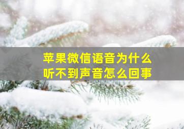 苹果微信语音为什么听不到声音怎么回事