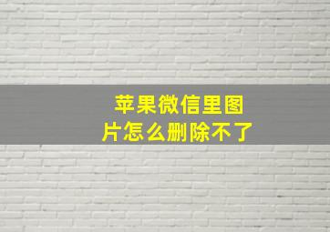 苹果微信里图片怎么删除不了