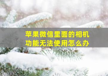 苹果微信里面的相机功能无法使用怎么办