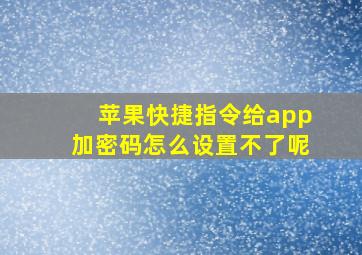 苹果快捷指令给app加密码怎么设置不了呢