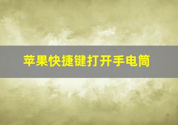 苹果快捷键打开手电筒