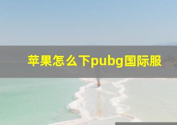 苹果怎么下pubg国际服