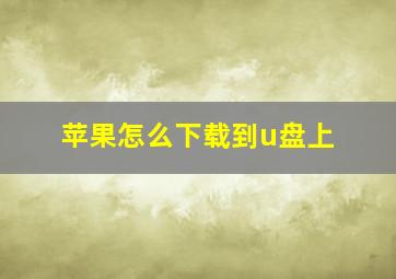 苹果怎么下载到u盘上