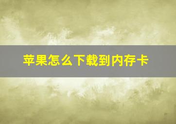 苹果怎么下载到内存卡