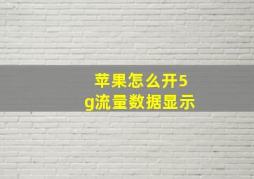 苹果怎么开5g流量数据显示