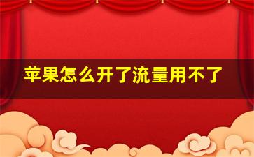 苹果怎么开了流量用不了