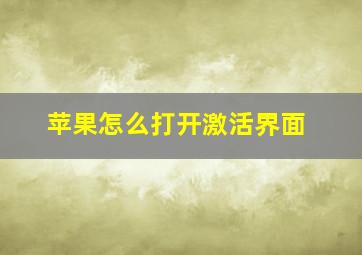 苹果怎么打开激活界面