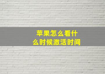 苹果怎么看什么时候激活时间