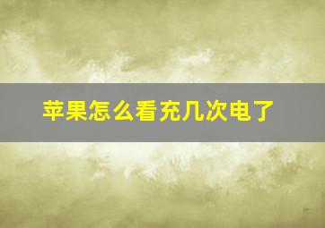 苹果怎么看充几次电了