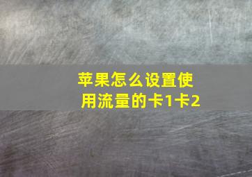 苹果怎么设置使用流量的卡1卡2