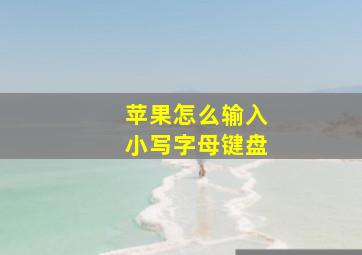 苹果怎么输入小写字母键盘