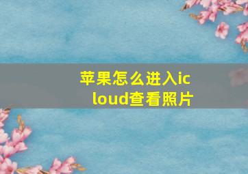 苹果怎么进入icloud查看照片