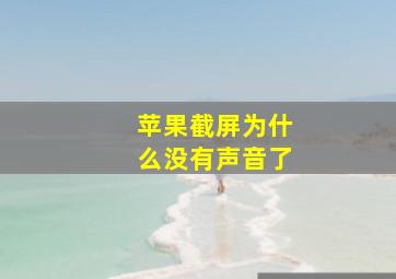 苹果截屏为什么没有声音了