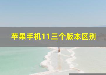 苹果手机11三个版本区别