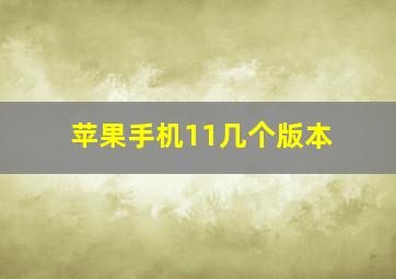 苹果手机11几个版本