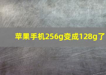 苹果手机256g变成128g了