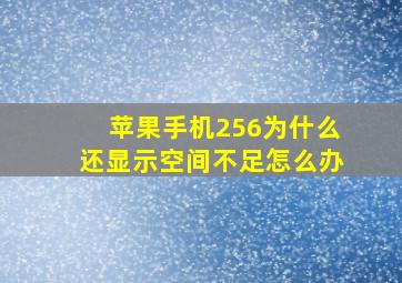 苹果手机256为什么还显示空间不足怎么办