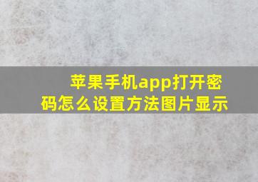 苹果手机app打开密码怎么设置方法图片显示