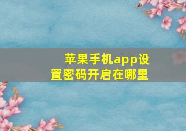 苹果手机app设置密码开启在哪里