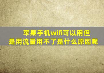 苹果手机wifi可以用但是用流量用不了是什么原因呢